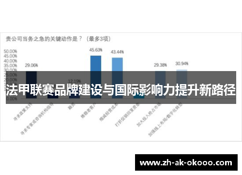 法甲联赛品牌建设与国际影响力提升新路径